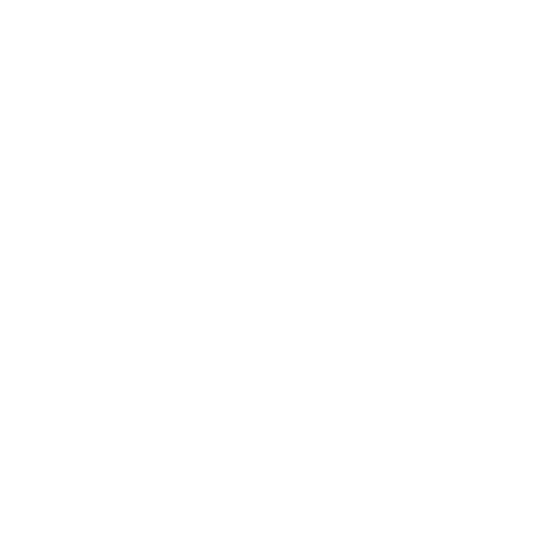 PTE MIK white logo